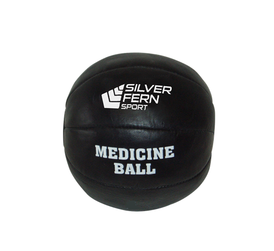 Leather Medicine Ball