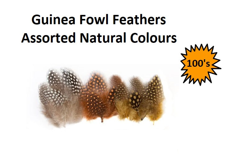 Craft Feathers - Guinea Fowl Natural 100pcs
