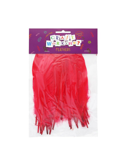 Craft Feathers