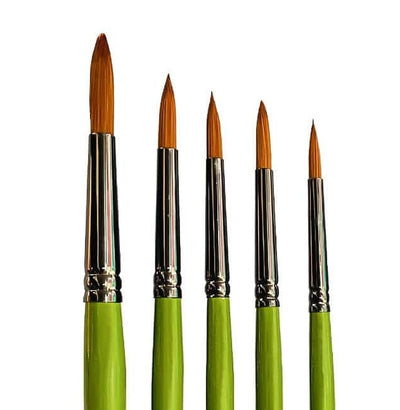 Synthetic Long Handle Brush