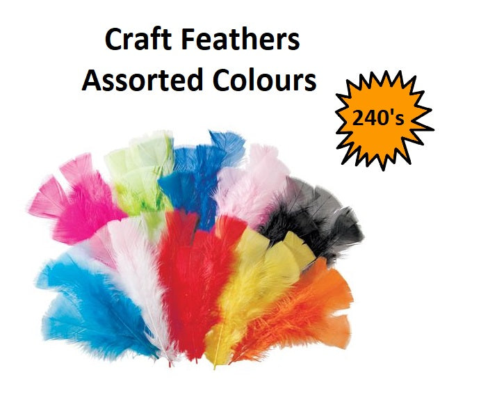 Craft Feathers - Assorted 240pcs