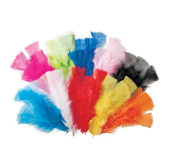 Craft Feathers