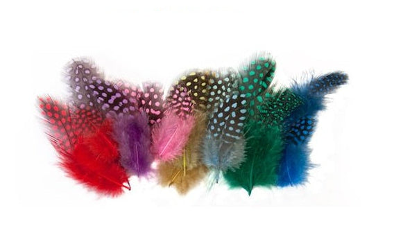 Craft Feathers