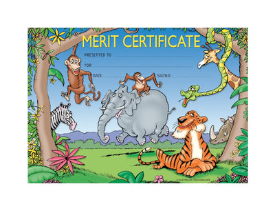 Merit Certificate