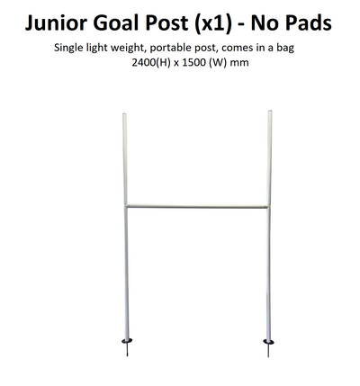 Junior Goal Post with Bag