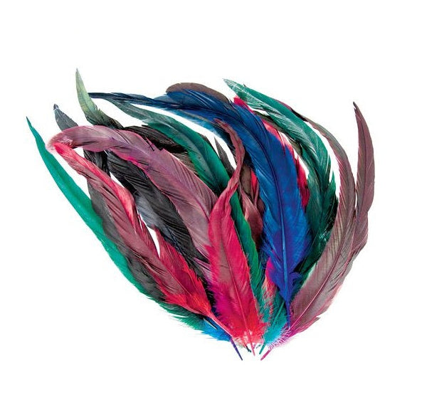 Craft Feathers