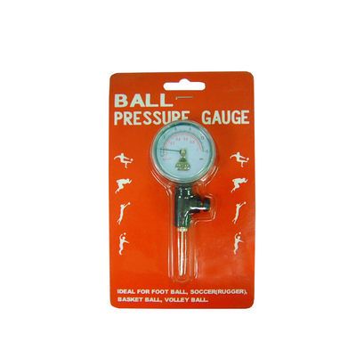 Pressure Gauge