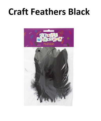 Craft Feathers - Black
