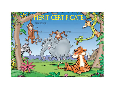 Merit Certificate