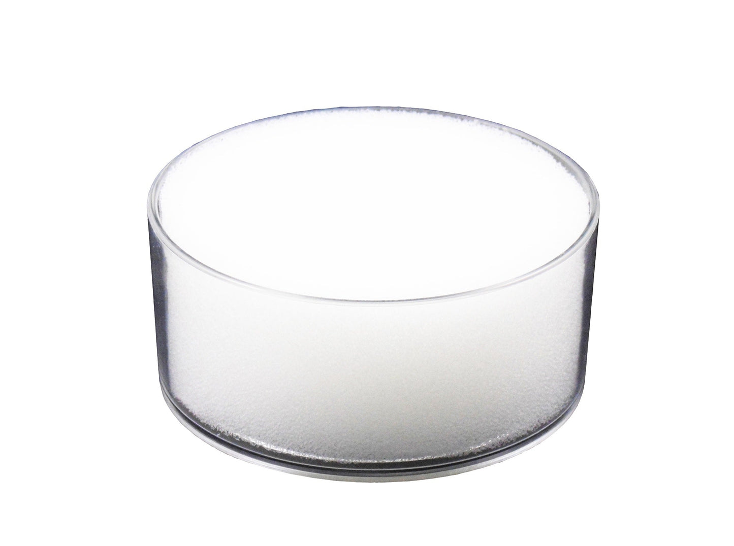 Sponge Bowl