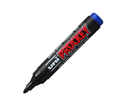 Blue Permanent Markers