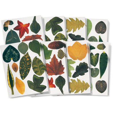 Crafty Paper Leaves