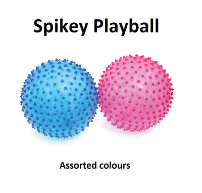 Spikey Playball