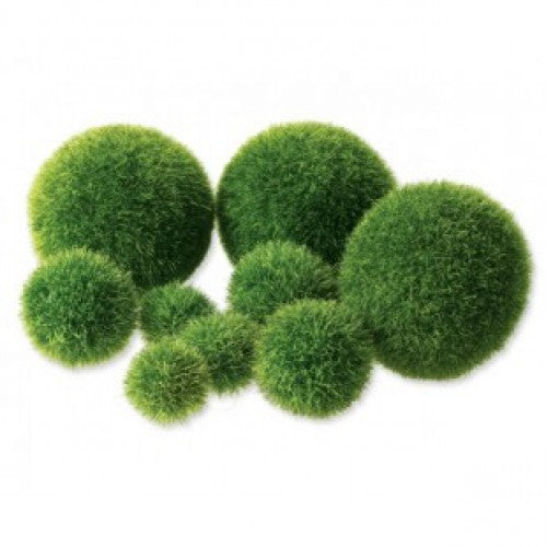 Textured Poly Balls 12's Green