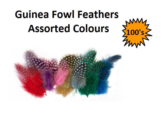 Craft Feathers - Guinea Fowl Assorted 100pcs