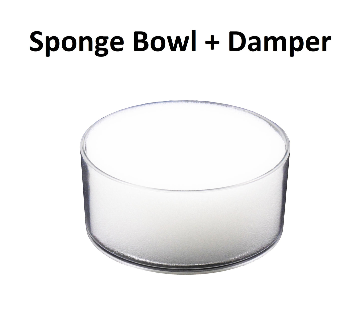 Sponge Bowl Complete with Sponge