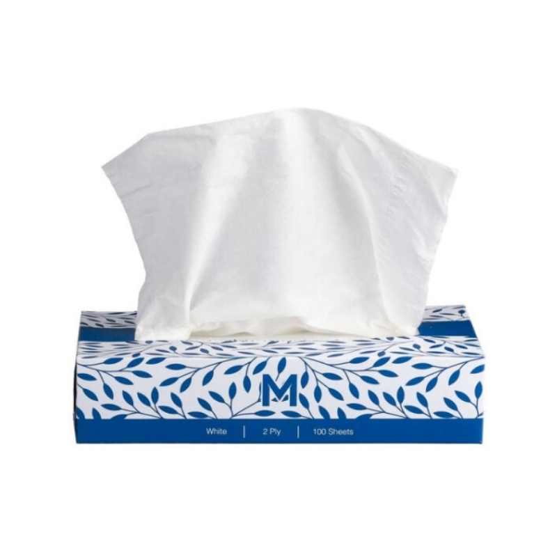 Facial Tissues 100's 2 Ply - Each