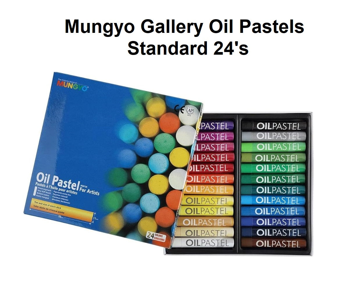 Mungyo Gallery Oil Pastels - Standard 24's