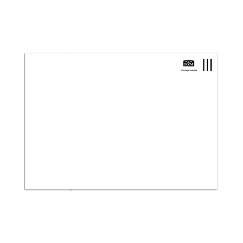 Prepaid C4 Envelopes (E31) - White Plain Self Seal - Box of 250