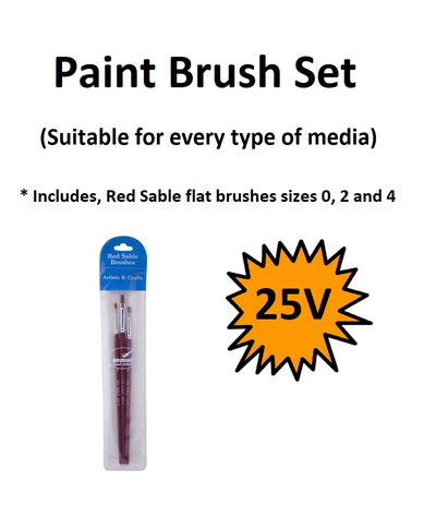 Brush Sets - 25V